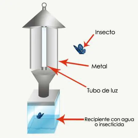 Trampa de luz