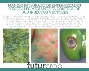 control enfermedades post