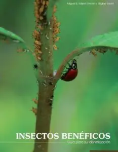manual insectos beneficos