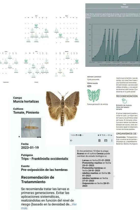 datos control de plagas
