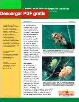 manual chinche lygus fresa