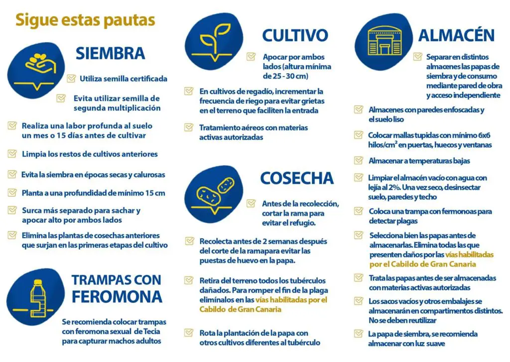 Folleto Control de la Tecia page 0002