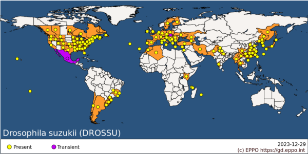Ditribución Drosophila suzukii. Fuente EPPO Global Database