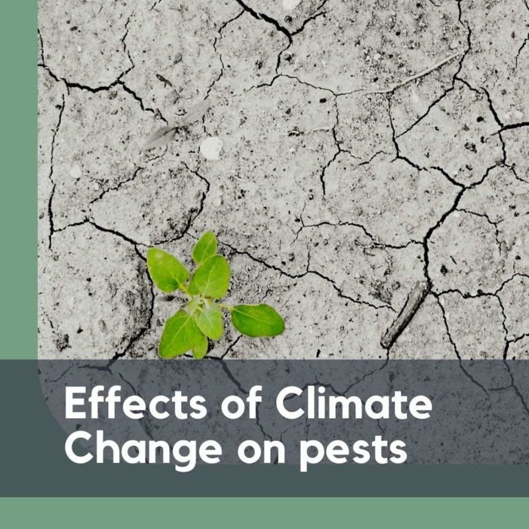 Effects of Climate Change on pests
