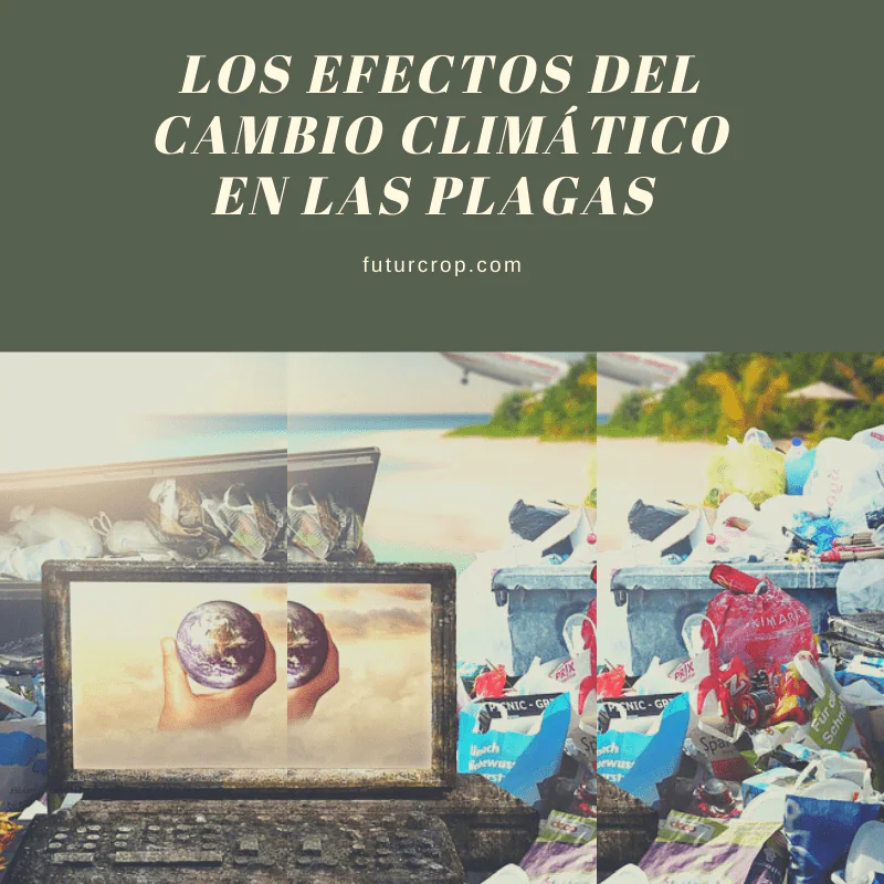 efectos del cambio climático