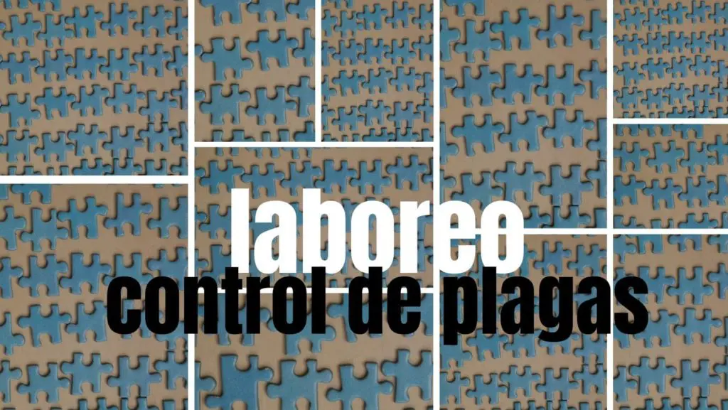 laboreo