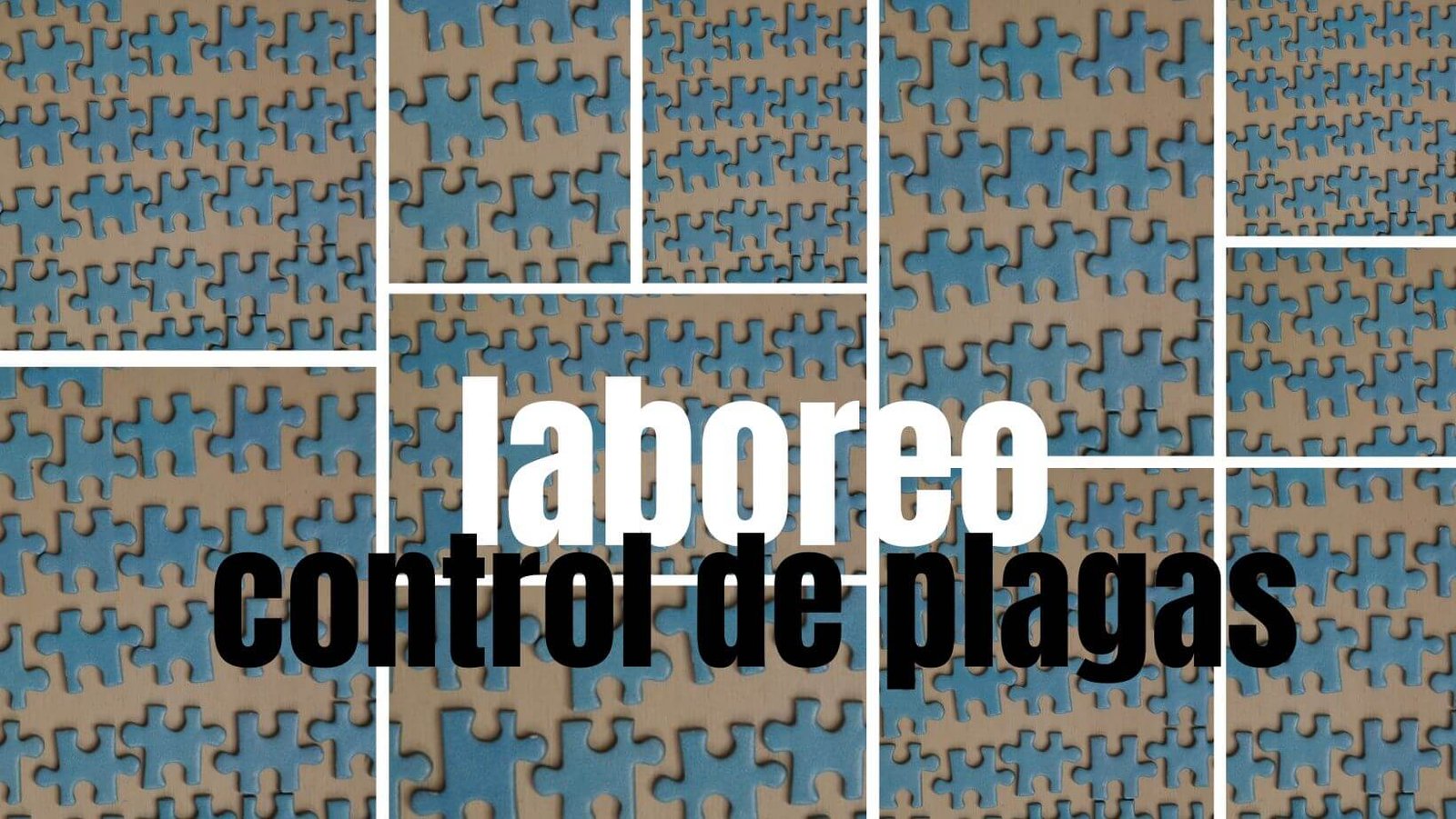 Prácticas agrícolas tradicionales de control de plagas