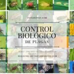 organismos de control biologico