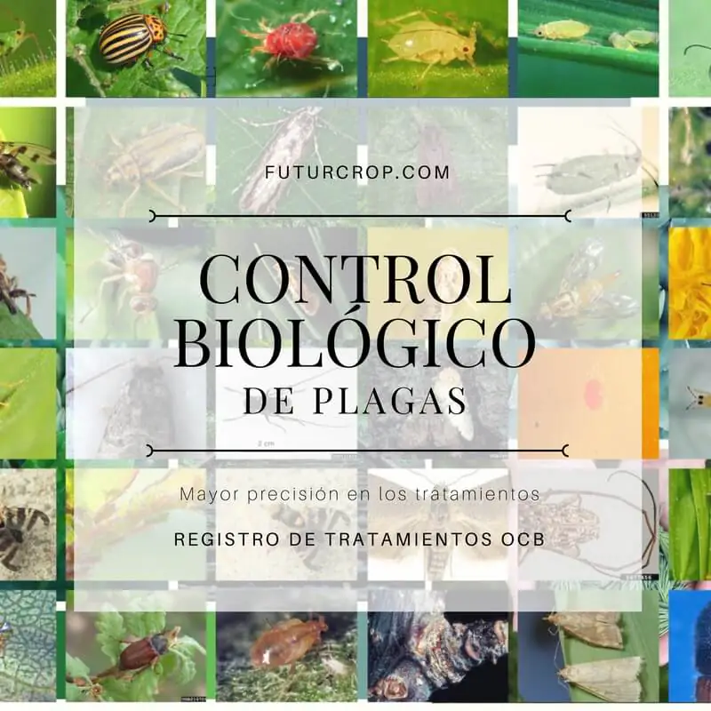 organismos de control biologico