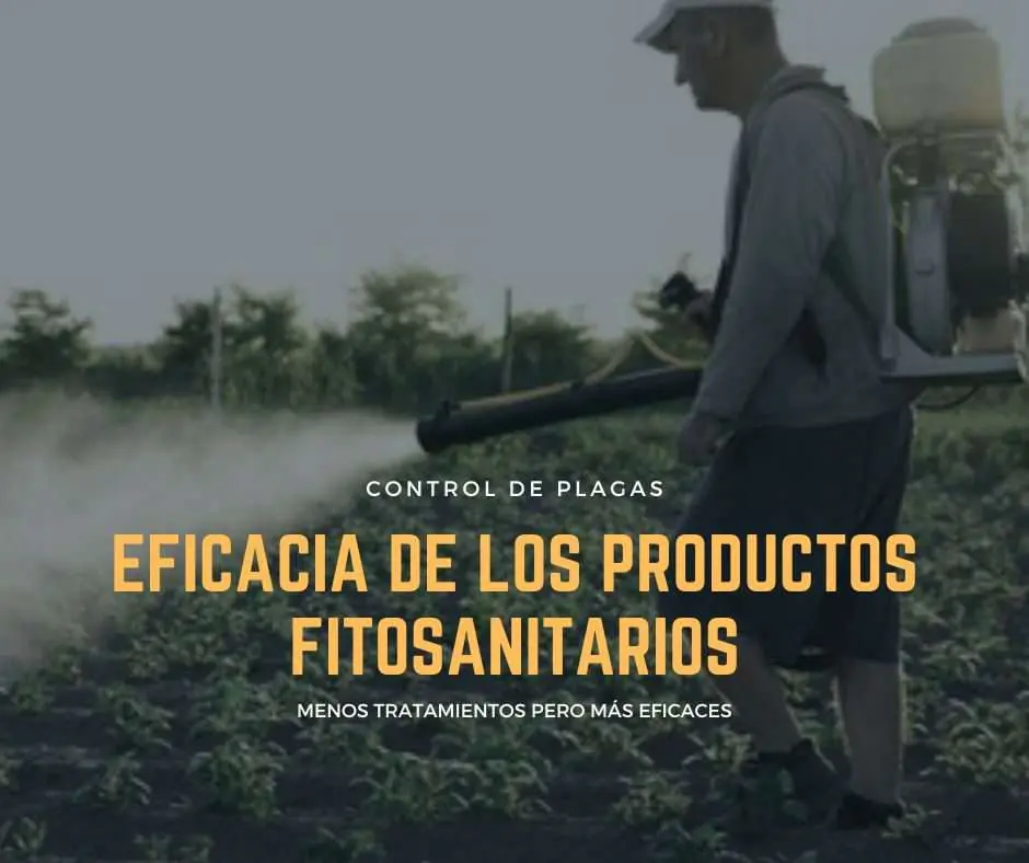 TRATAMIENTOS FITOSANITARIOS