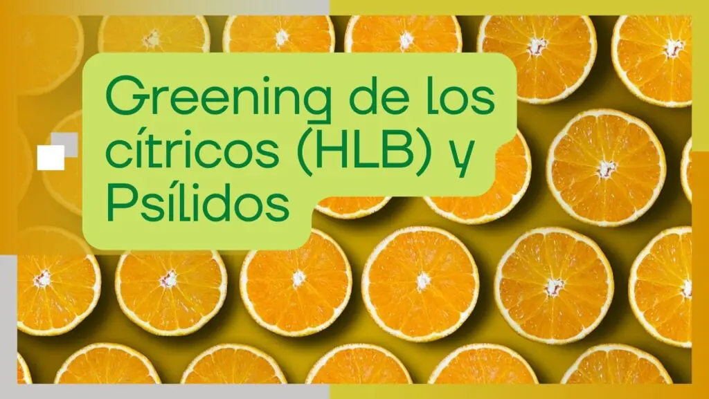 greening