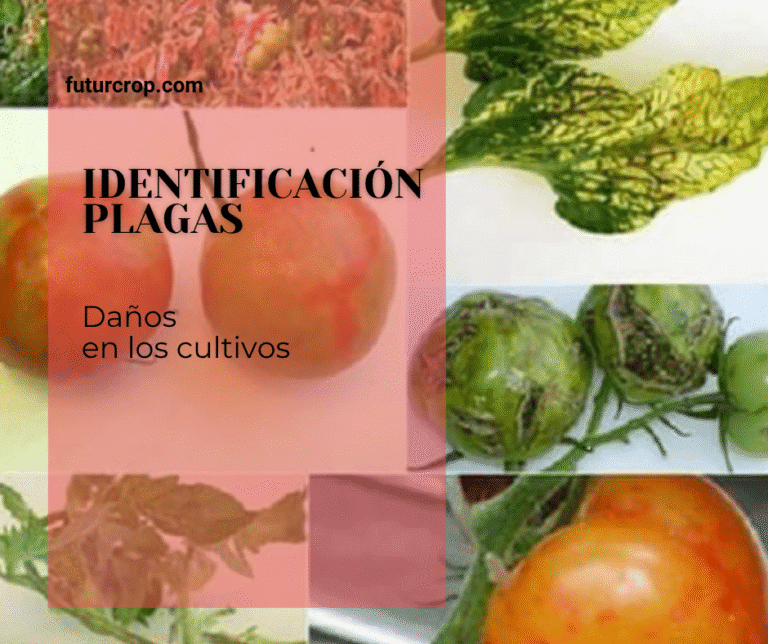 identificación de plagas por los daños