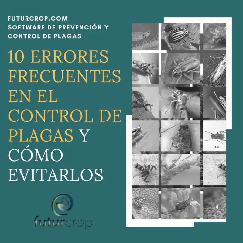 10 errores frecuentes en el control de plagas agrícolas