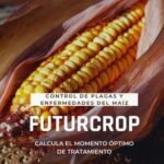 plagas y enfermedades del maíz
