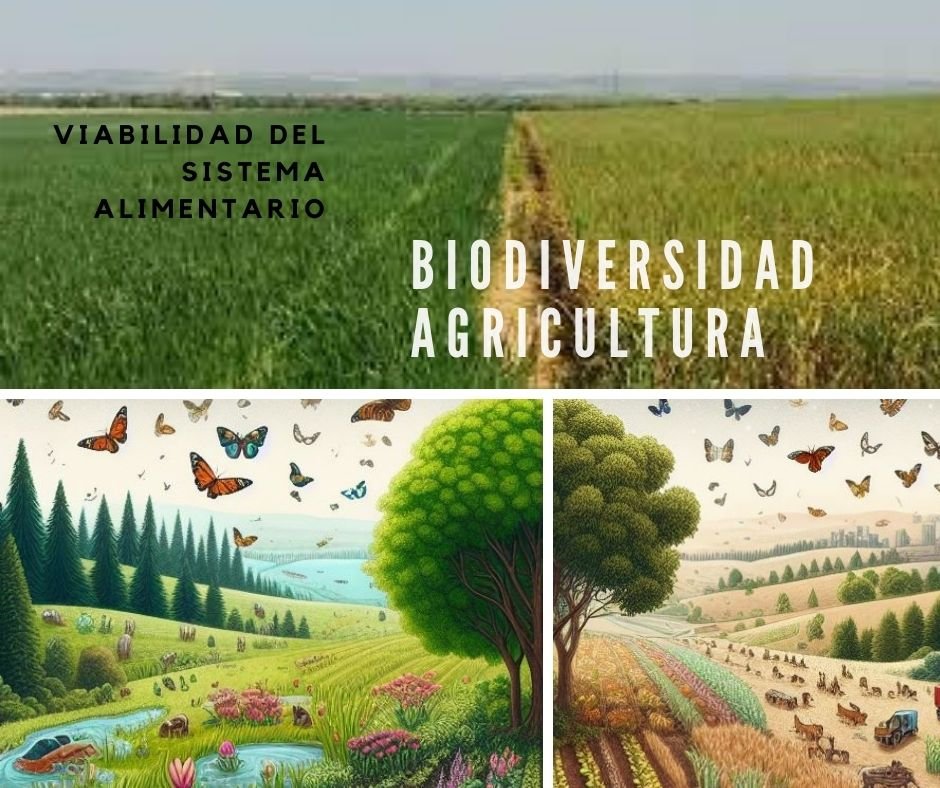 Preservar la biodiversidad para la viabilidad del sistema alimentario
