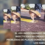 insecticidas, fitosanitarios