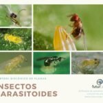 Control biológico de plagas mediante parasitoides