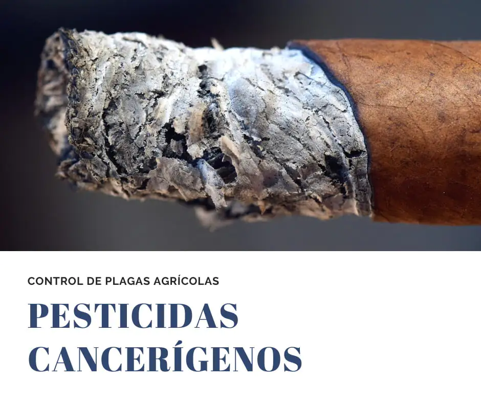 Pesticidas cancerígenos