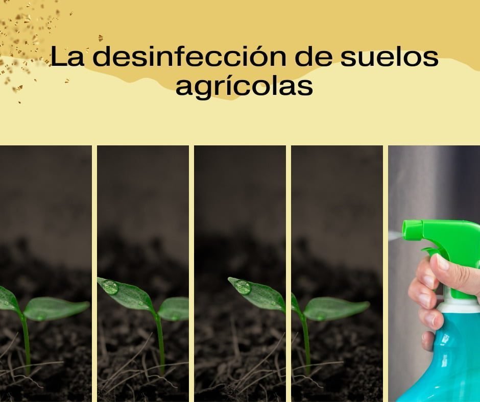 La desinfección de suelos agrícolas