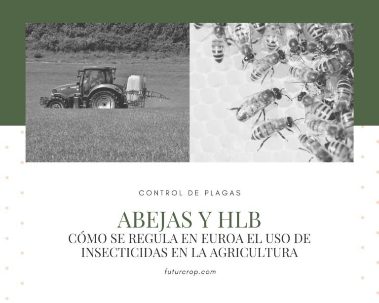 abejas-y-hlb-post-1