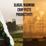 crop pests