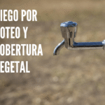 riego por goteo y cobertura vegetal