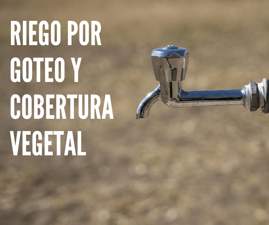 riego por goteo y cobertura vegetal