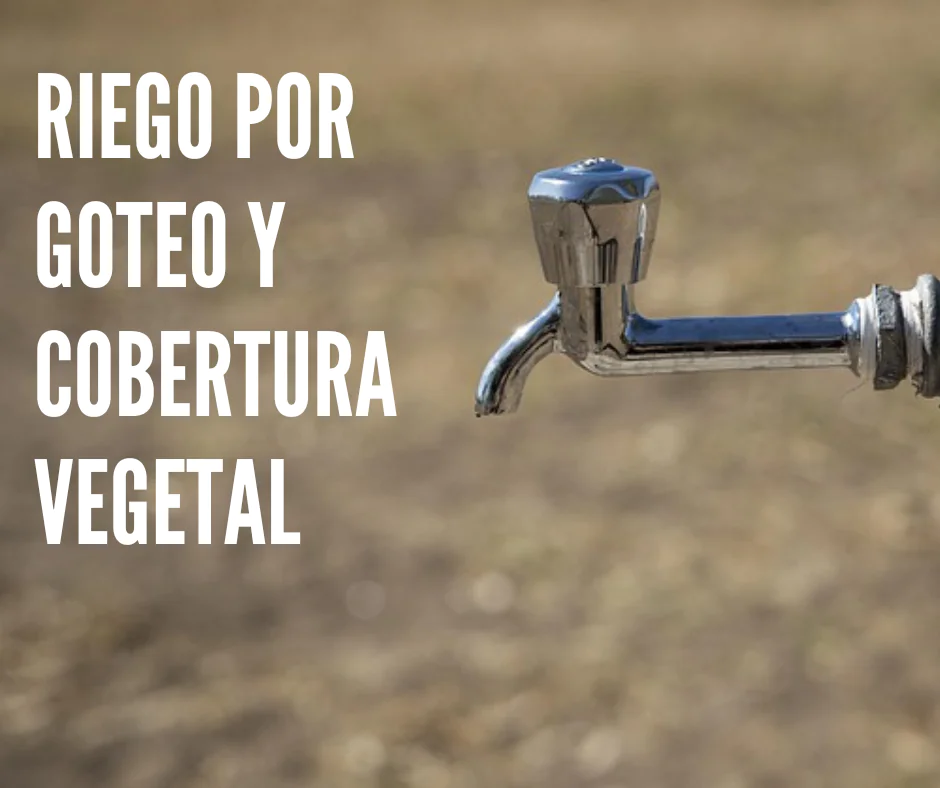 riego por goteo y cobertura vegetal