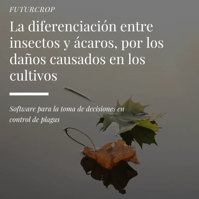 Daños en los cultivos