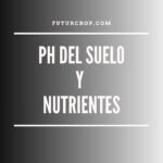 ph del suelo