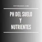 ph del suelo
