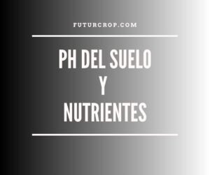 ph del suelo
