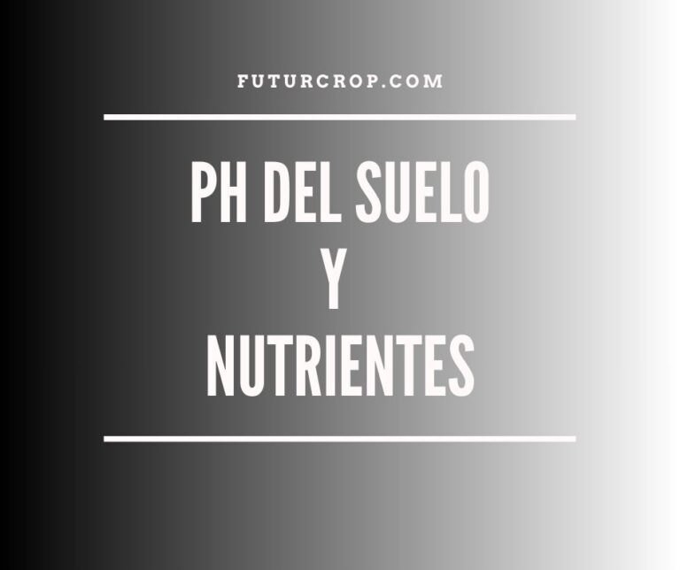 ph del suelo