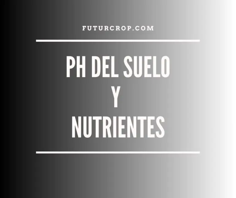 ph del suelo