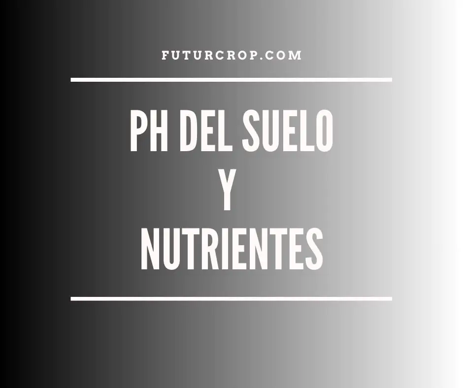 ph del suelo