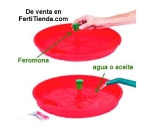 trampas de agua para plagas