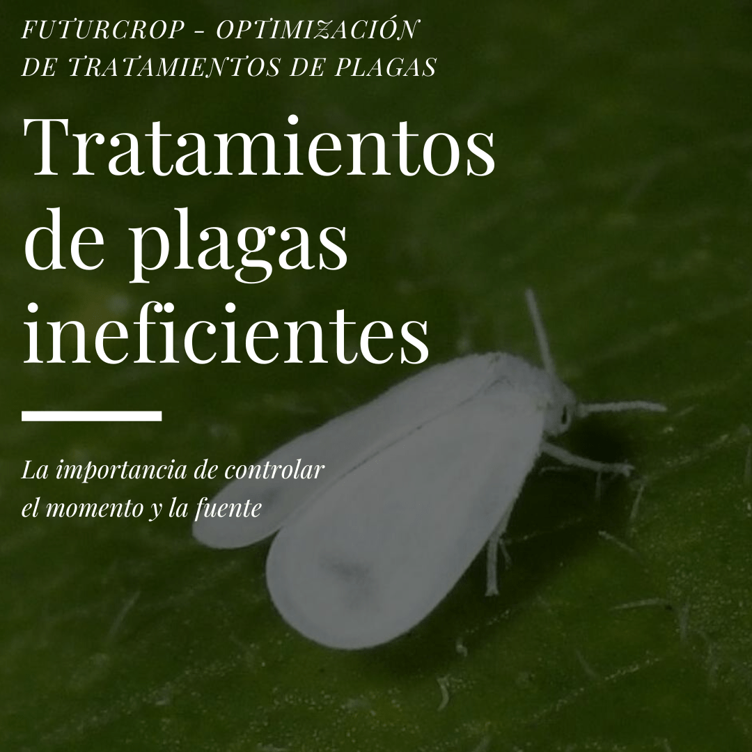 Reinfestaciones de plagas agrícolas