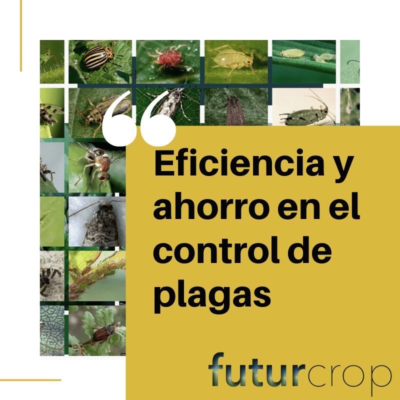 software agrícola de contorl de plagas eficientes