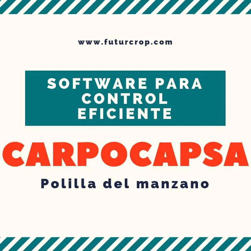 Software agrícola para el control de la Carpocapsa (Cydia pomonella)