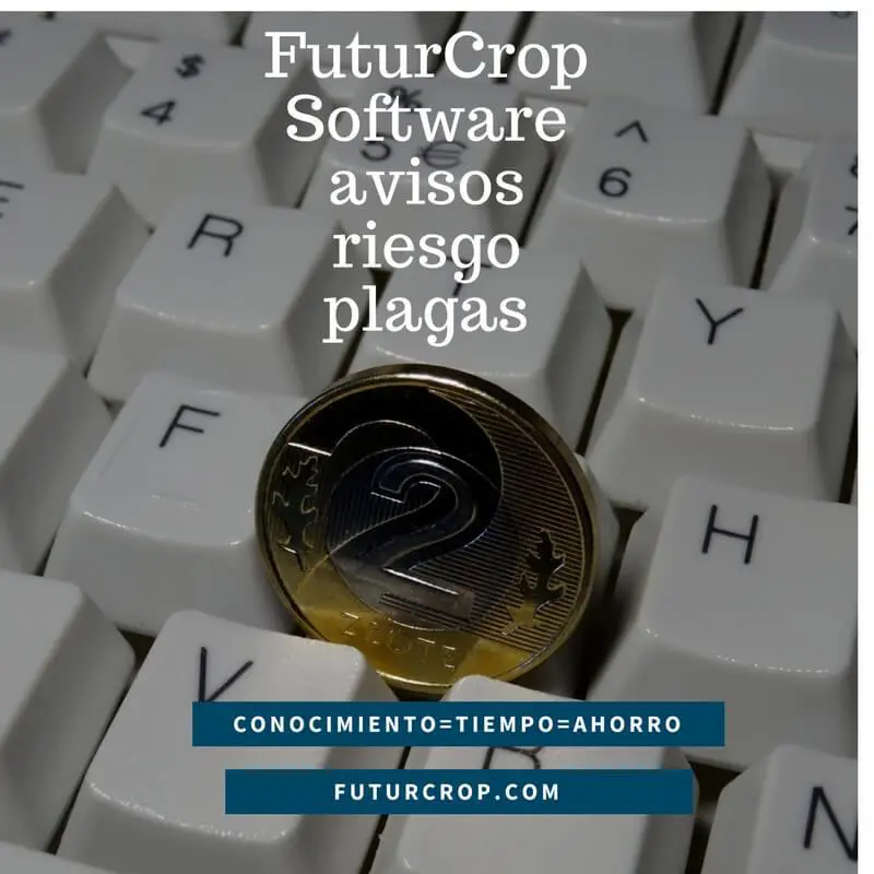 Eficácia dos produtos fitossanitários