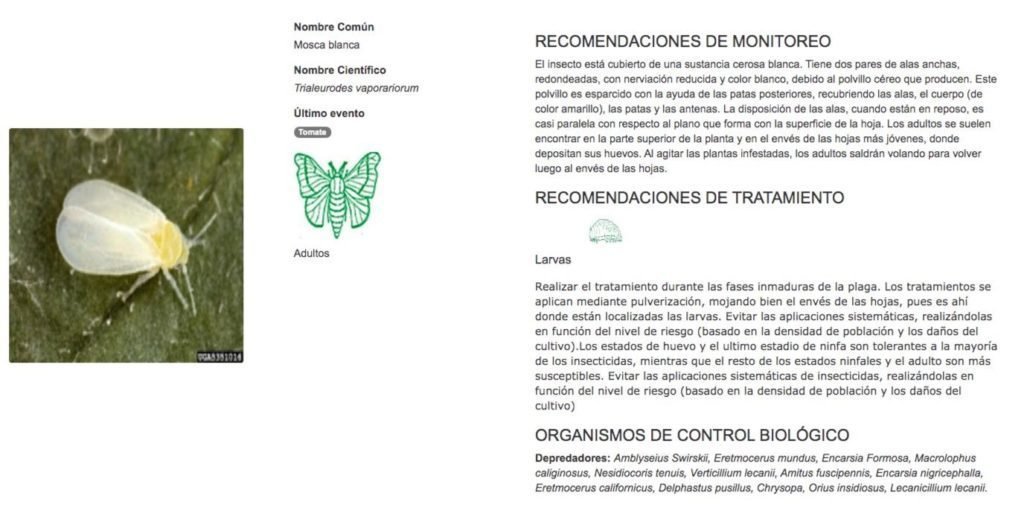 Captura de pantalla de FuturCrop, mosca blanca: recomendaciones de monitoreo, tratamiento y organismos de control biológico.