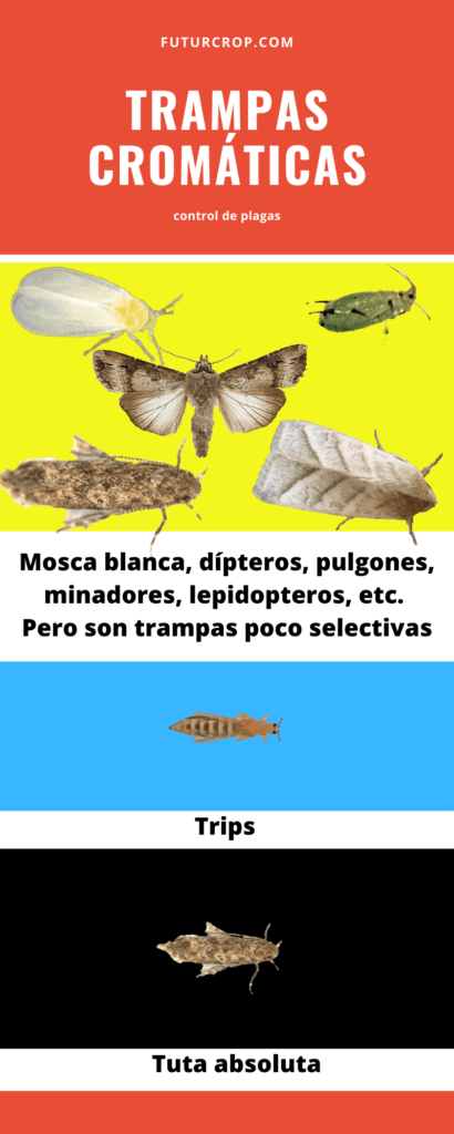 Trampas para el control de plagas 3 Trampas para el control de plagas
