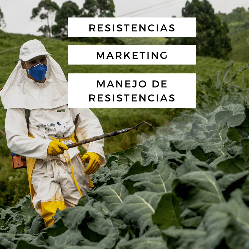 Pesticidas que pierden eficacia, el negocio de los laboratorios, y no hay soluciones sencillas
