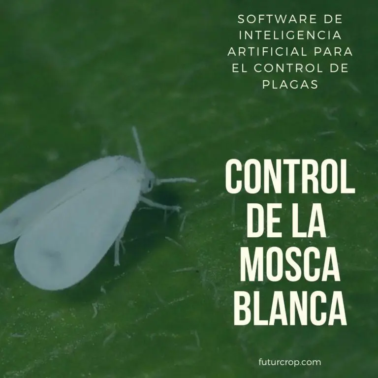 control eficiente de la mosca blanca
