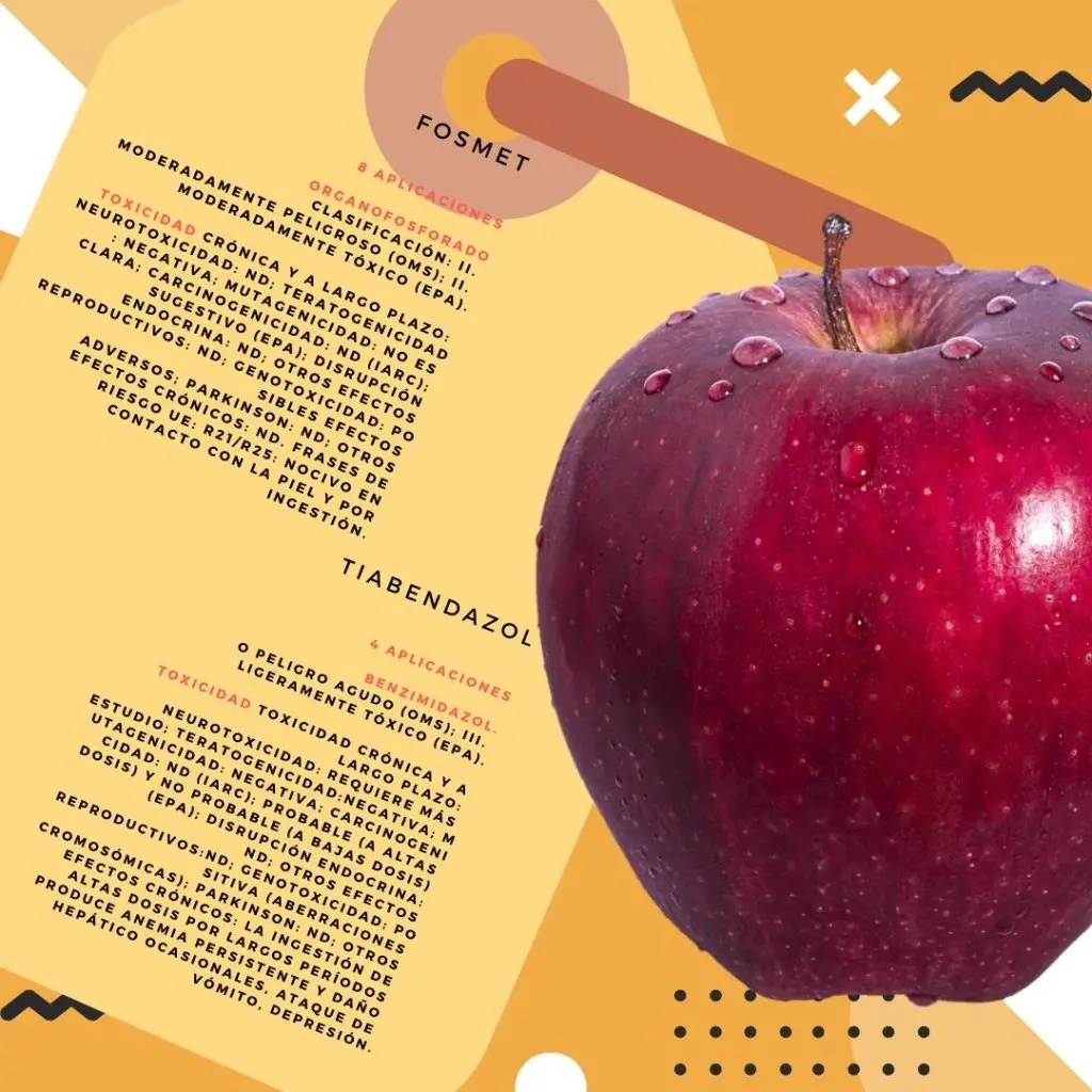 El etiquetado de los productos alimentarios