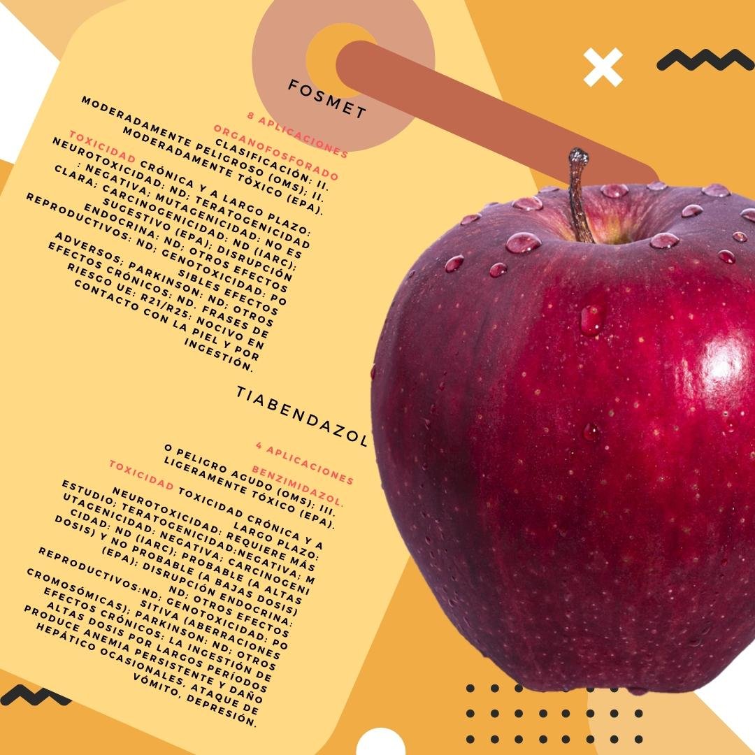 El etiquetado de los productos alimentarios