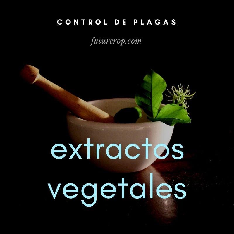 control de plagas agrícolas mediante extractos vegetales