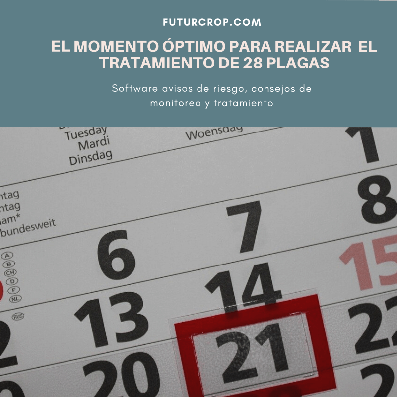 calendario fitosanitarios