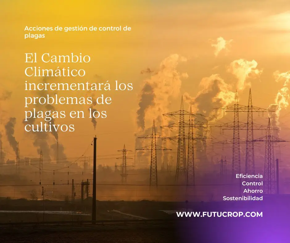 El Cambio Climático incrementará los problemas de plagas en los cultivos