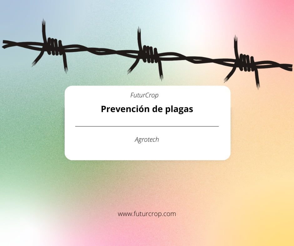 Prevención de plagas